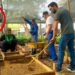 “El café ya se está muriendo”: alcalde de Anzoátegui alerta por pérdidas agrícolas ante el intenso verano