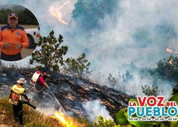 Tolima cerró agosto con 13 incendios en 11 municipios