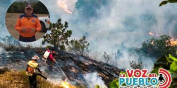 Tolima cerró agosto con 13 incendios en 11 municipios