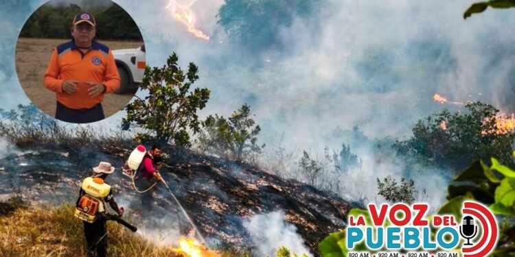 Tolima cerró agosto con 13 incendios en 11 municipios