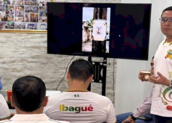 Se ultiman detalles para la plataforma que tendrá Ibagué para reportar mascotas perdidas y facilitar adopciones