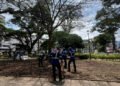 Se adelanta recuperación y revegetalización de la Plaza de Bolívar