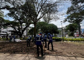 Se adelanta recuperación y revegetalización de la Plaza de Bolívar