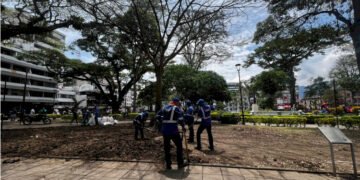 Se adelanta recuperación y revegetalización de la Plaza de Bolívar
