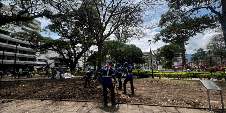 Se adelanta recuperación y revegetalización de la Plaza de Bolívar