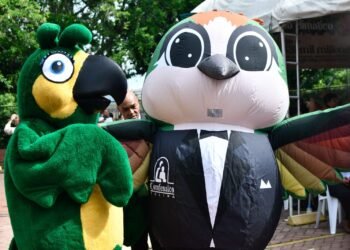 Cinco toneladas que hicieron la diferencia: Colegio de Comfenalco Tolima es número uno en concurso ambiental RAEE