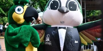 Cinco toneladas que hicieron la diferencia: Colegio de Comfenalco Tolima es número uno en concurso ambiental RAEE
