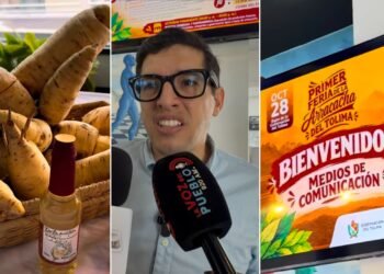 Cajamarca apuesta por la Feria Internacional de la Arracacha para salvar su tradición agrícola