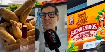 Cajamarca apuesta por la Feria Internacional de la Arracacha para salvar su tradición agrícola