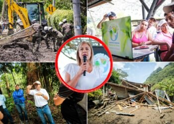 Cortolima autoriza tala de árboles en riesgo y prepara medidas para atender la emergencia en el Combeima