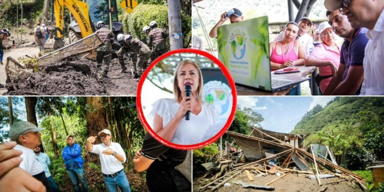 Cortolima autoriza tala de árboles en riesgo y prepara medidas para atender la emergencia en el Combeima