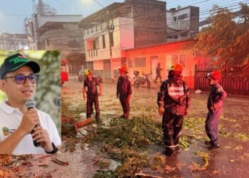 24 viviendas afectadas y 13 árboles intervenidos: así amaneció Ibagué tras el fuerte vendaval