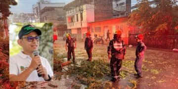 24 viviendas afectadas y 13 árboles intervenidos: así amaneció Ibagué tras el fuerte vendaval