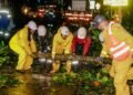Vendaval deja más de 12 sectores afectados y más de 20 viviendas golpeadas en Ibagué