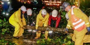 Vendaval deja más de 12 sectores afectados y más de 20 viviendas golpeadas en Ibagué