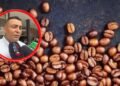 Villahermosa se prepara para la gran fiesta del café y la panela: más de 150 productores ya están confirmados