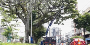 Avanza la  instalación de alumbrado navideño sobre carrera Quinta de Ibagué