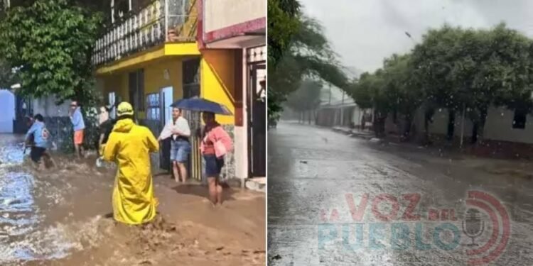 ¡No se confíe de las lluvias! Tolima seguirá en riesgo de incendios forestales hasta febrero 2027