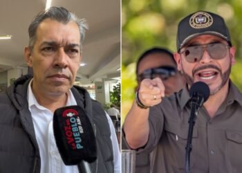 Ganaderos del Tolima advierten preocupación por propuesta del MinAgricultura sobre los parafiscales