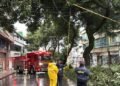 Bomberos de Ibagué atendieron emergencias por caída de árboles