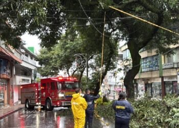 Bomberos de Ibagué atendieron emergencias por caída de árboles