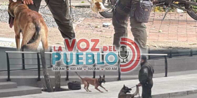 Dos objetos sospechosos encendieron las alarmas en Ibagué: autoridades descartaron explosivos