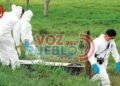 Doble homicidio en El Espinal: hallan muertos a un hombre y una adolescente en zona rural