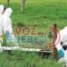 Doble homicidio en El Espinal: hallan muertos a un hombre y una adolescente en zona rural