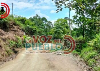 Triple homicidio sacude a Chaparral! Tres hombres muertos en dos veredas de Amoyá