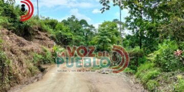 Triple homicidio sacude a Chaparral! Tres hombres muertos en dos veredas de Amoyá