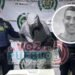Más de 22 años de cárcel para motociclista que movilizó a sicario tras homicidio en Ibagué