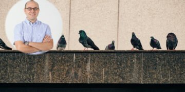 Alimentar a las palomas sería una de las causas de su sobrepoblación en Ibagué