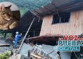 Apareció milagrosamente la gatica desaparecida en la avalancha de Pico de Oro