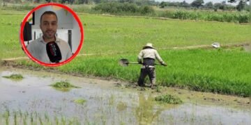 Gobernación del Tolima quedó por fuera de las mesas entre MinAgricultura y los arroceros