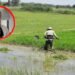 Gobernación del Tolima quedó por fuera de las mesas entre MinAgricultura y los arroceros