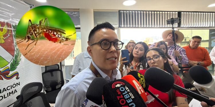 Muerte por dengue enciende las alertas sanitarias en Chaparral: Salud del Tolima vigila posibles nuevos casos