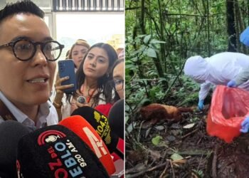 Sigue en análisis del INS el posible caso de fiebre amarilla en un primate hallado muerto en Purificación