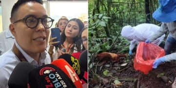 Sigue en análisis del INS el posible caso de fiebre amarilla en un primate hallado muerto en Purificación