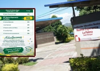 Institución educativa rural Nueva Esperanza La Palma ocupó el segundo lugar entre los colegios oficiales de Ibagué