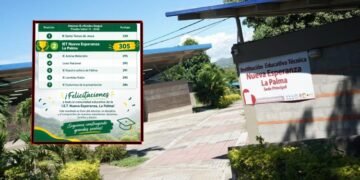 Institución educativa rural Nueva Esperanza La Palma ocupó el segundo lugar entre los colegios oficiales de Ibagué