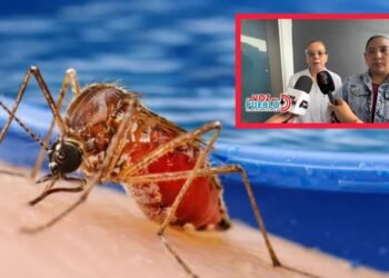 Tolima registra alta mortalidad infantil por dengue y activa vacunación gratuita en Ibagué y El Espinal
