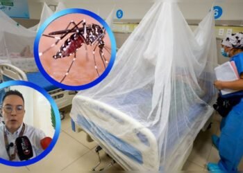 Tolima reporta más de 2.400 nuevos casos de dengue y enciende las alarmas por el mosquito