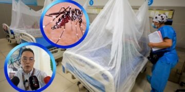 Tolima reporta más de 2.400 nuevos casos de dengue y enciende las alarmas por el mosquito