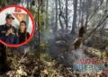 Hojas, raíces y materia en descomposición: la “combustión invisible” que golpea al Bosque de Galilea