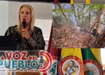 Investigan si una ‘quema controlada’ provocó incendio subterráneo en el Bosque de Galilea