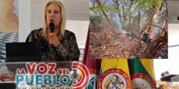 Investigan si una ‘quema controlada’ provocó incendio subterráneo en el Bosque de Galilea