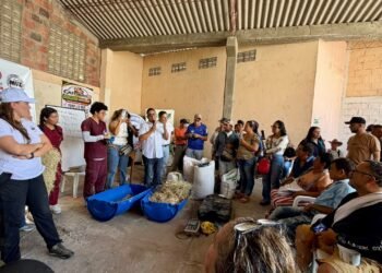 Universidad del Tolima y Comité de Ganaderos fortalecen la alimentación de ganado afectado por los incendios
