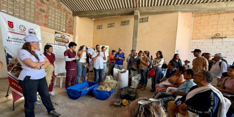 Universidad del Tolima y Comité de Ganaderos fortalecen la alimentación de ganado afectado por los incendios