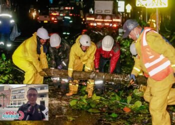 Lluvias dejan 27 viviendas afectadas y 14 árboles caídos este fin de semana en Ibagué