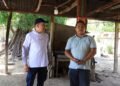 Inició diagnostico para evaluar pérdidas en el campo tolimense tras incendios forestales